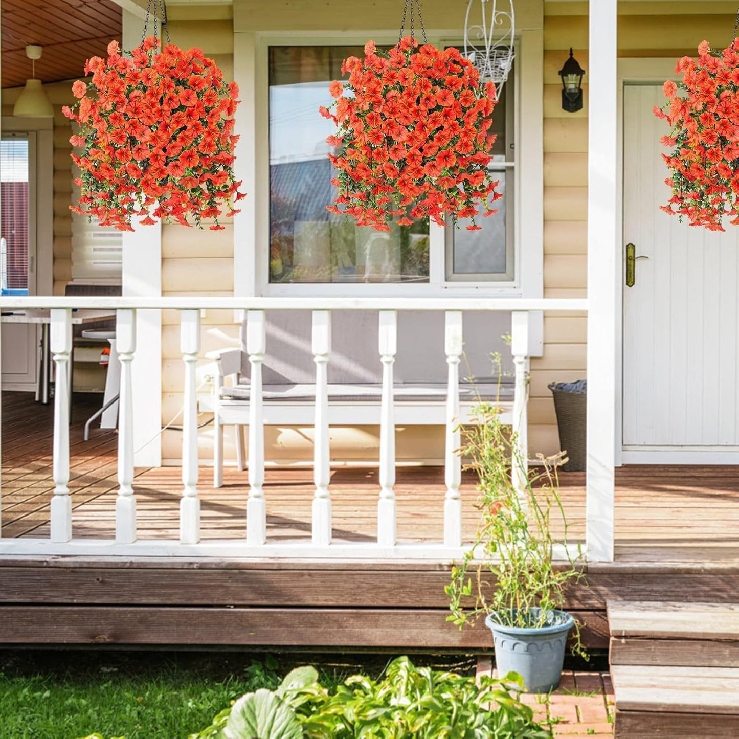 Colorful Outdoor Morning Glory Planter