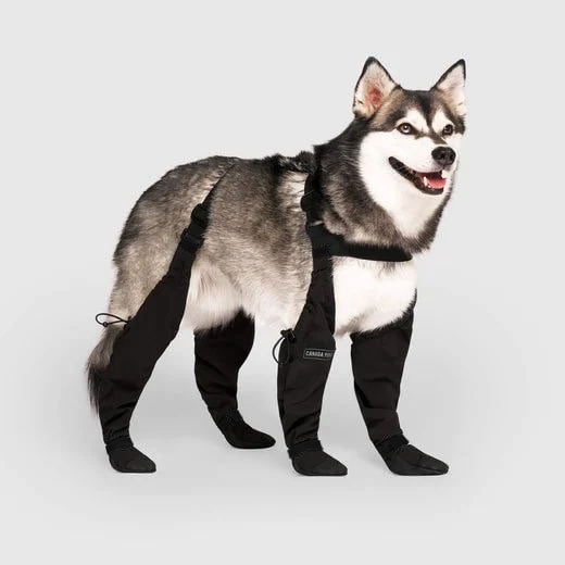 Waterproof Pet Boots for Outdoor Protection - Fesara