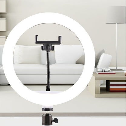 10-Inch LED Ring Light with Adjustable Tripod and Phone Holder - Ideal for Makeup, Photography, and Vlogging-5