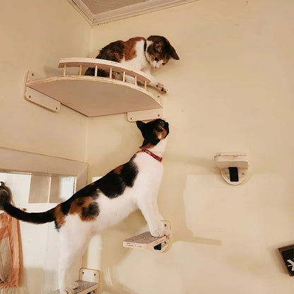 Cat Climbing Wall Shelf with Scratch Post