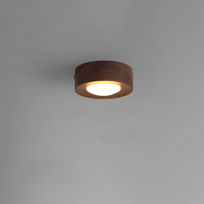 Brown Wood Ceiling Lamp with LED Lights