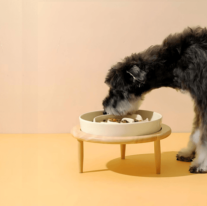 Pet Slow Feeder Bowl for Dogs and Cats