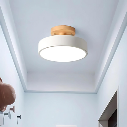 Slim Contemporary LED Ceiling Light
