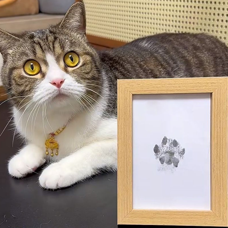 Easy Pet Paw Print Art Kit