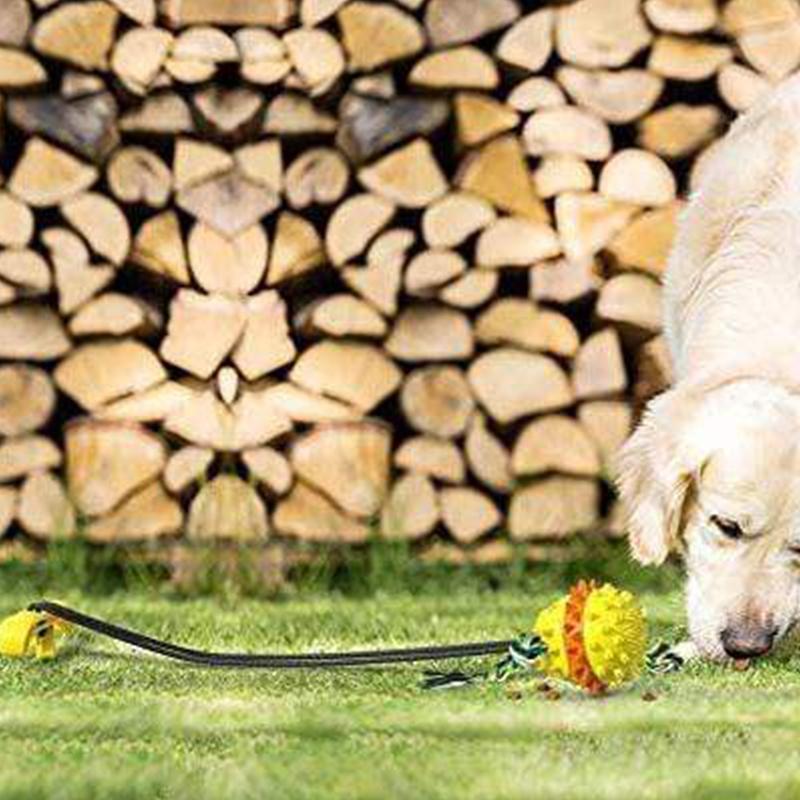 Colorful Pet Rope Ball Toy