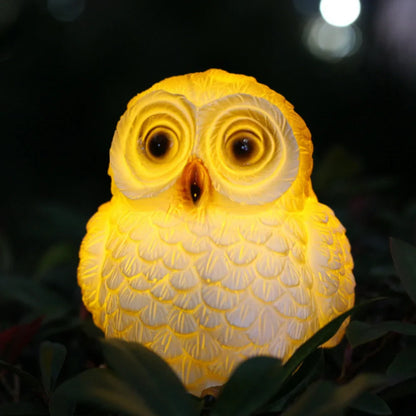Bright Outdoor Solar Powered Garden Light