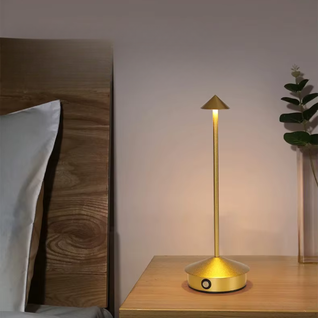 Contemporary Metal Desk LED Portable Table Light