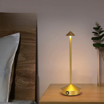Contemporary Metal Desk LED Portable Table Light