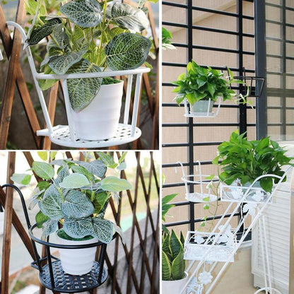 Beautiful Floral Window Hanging Basket
