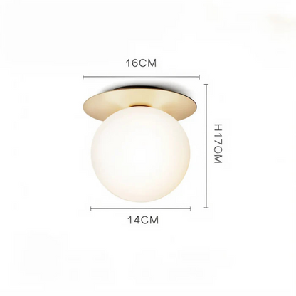 Elegant LED Ceiling and Wall Light Fixture