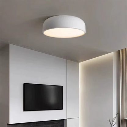 Modern Ceiling Light for Living Room