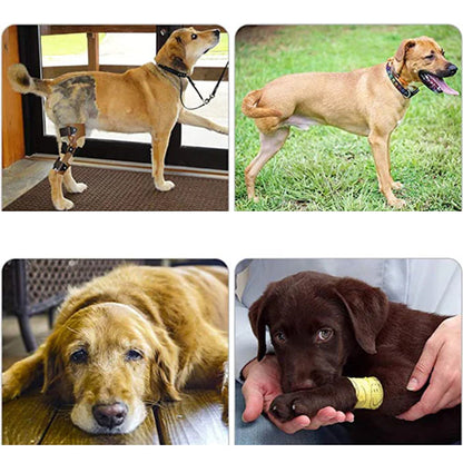 Comfortable Dog Support Harness for Back Legs