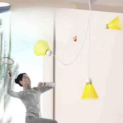 Complete Home Badminton Kit