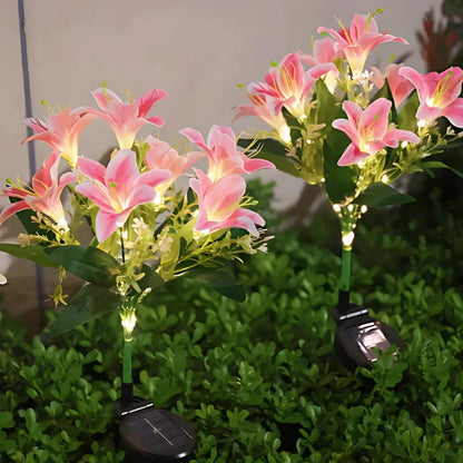 Colorful Solar Powered Garden Lights