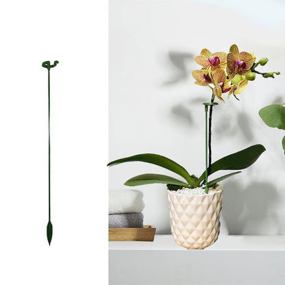 Garden Plant Sturdy Support Sticks (10 Pack)