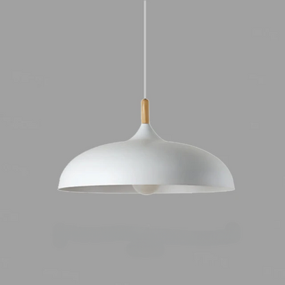Elegant Modern Pendant Light Dining Room