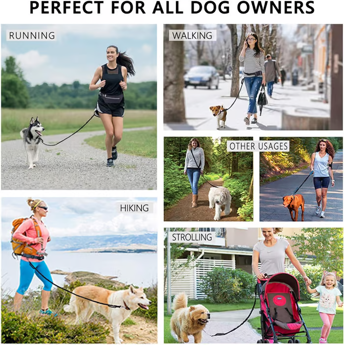 Easy Walk Dog Harness