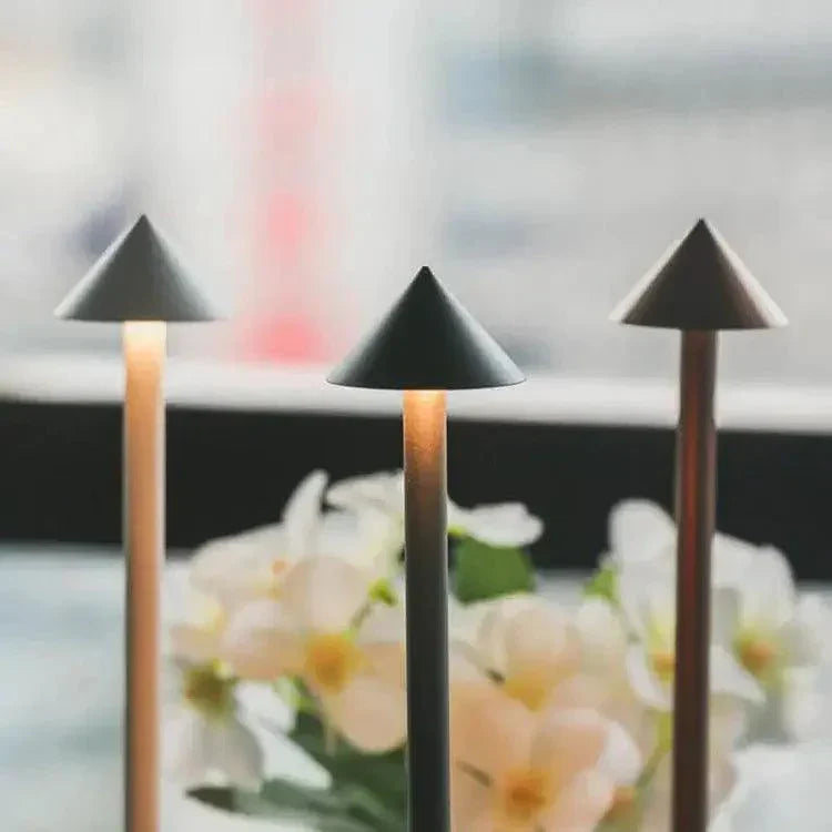 Compact LED Desk Lamp