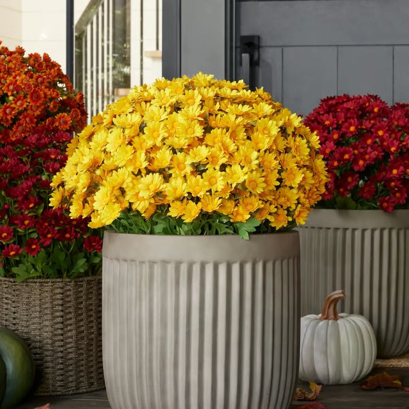 Vibrant Fall Garden Decoration