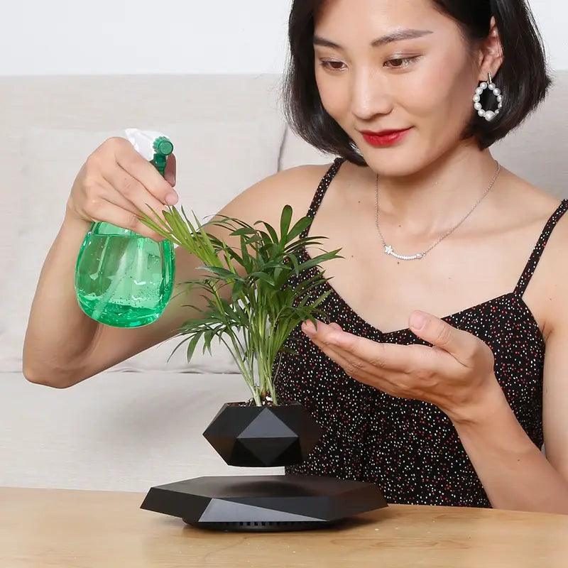 Floating Mini Bonsai Tree Planter