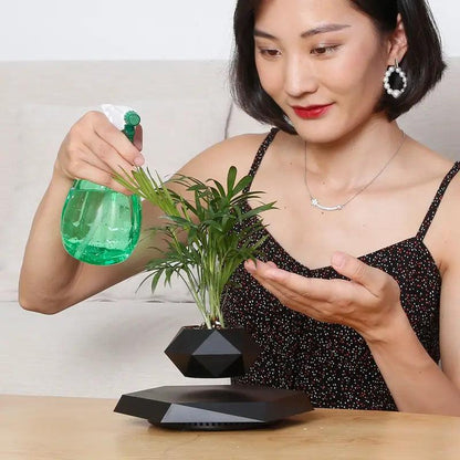 Floating Mini Bonsai Tree Planter