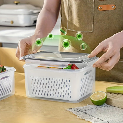 Reusable BPA Free Food Container Set of 4 - Fesara