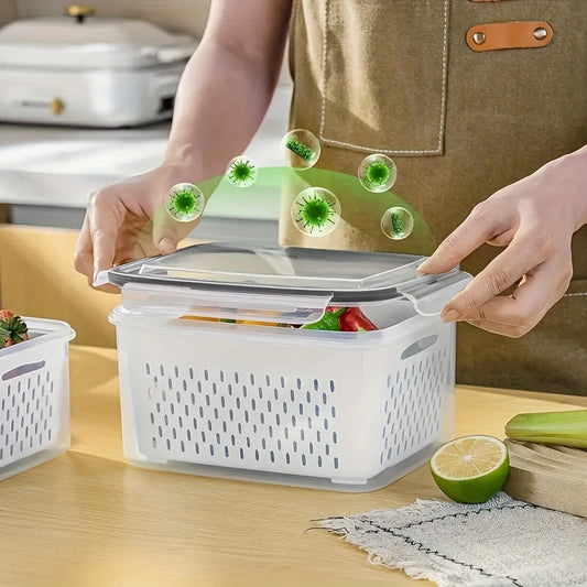 Reusable BPA Free Food Container Set of 4 - Fesara