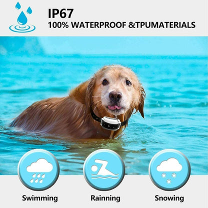 Easy Dog Training Collar System Waterproof Rechargeable