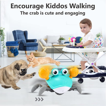 Fun Crawling Crab Toy