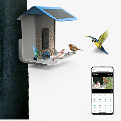 Wireless Bird Feeder with HD Camera and Solar Power