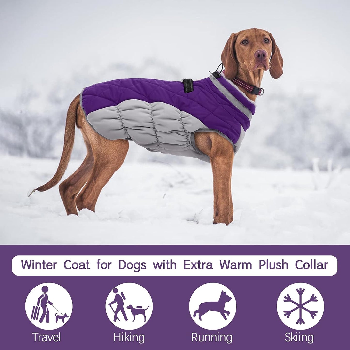 Waterproof Reflective Dog Coat with Fleece Lining