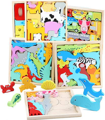 Wooden Brain Teaser Puzzle Set (3 Pack)