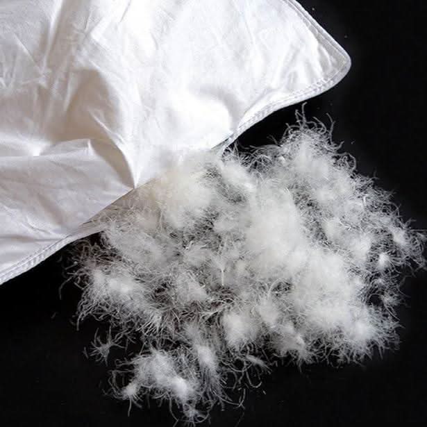 Soft Plush Breathable Duvet Cover - Fesara