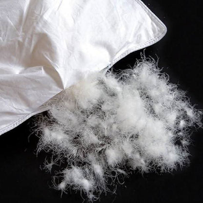 Soft Plush Breathable Duvet Cover - Fesara
