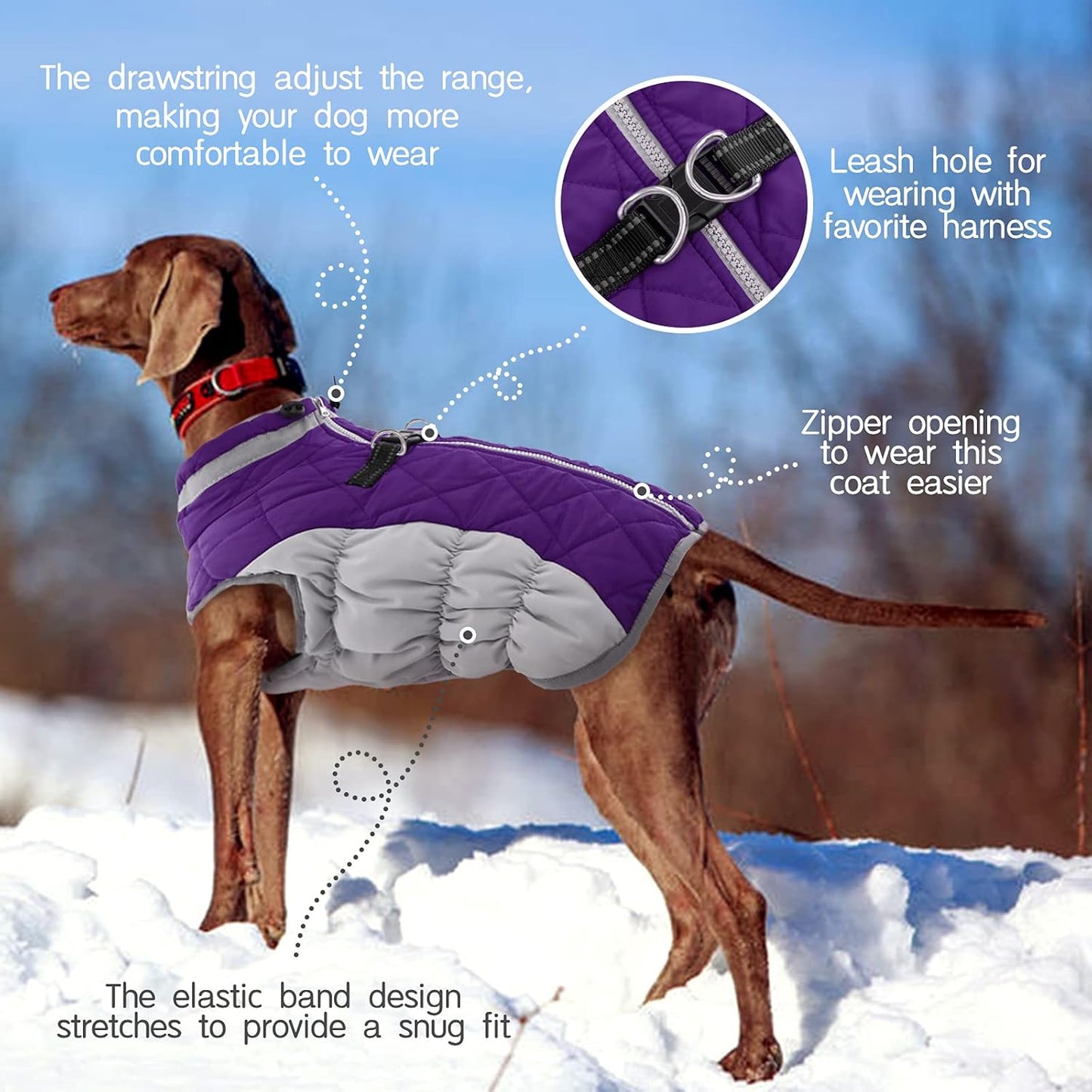 Waterproof Reflective Dog Coat with Fleece Lining