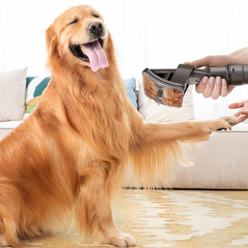 Pet Grooming Tool Vacuum Cleaner Brush Attachment
