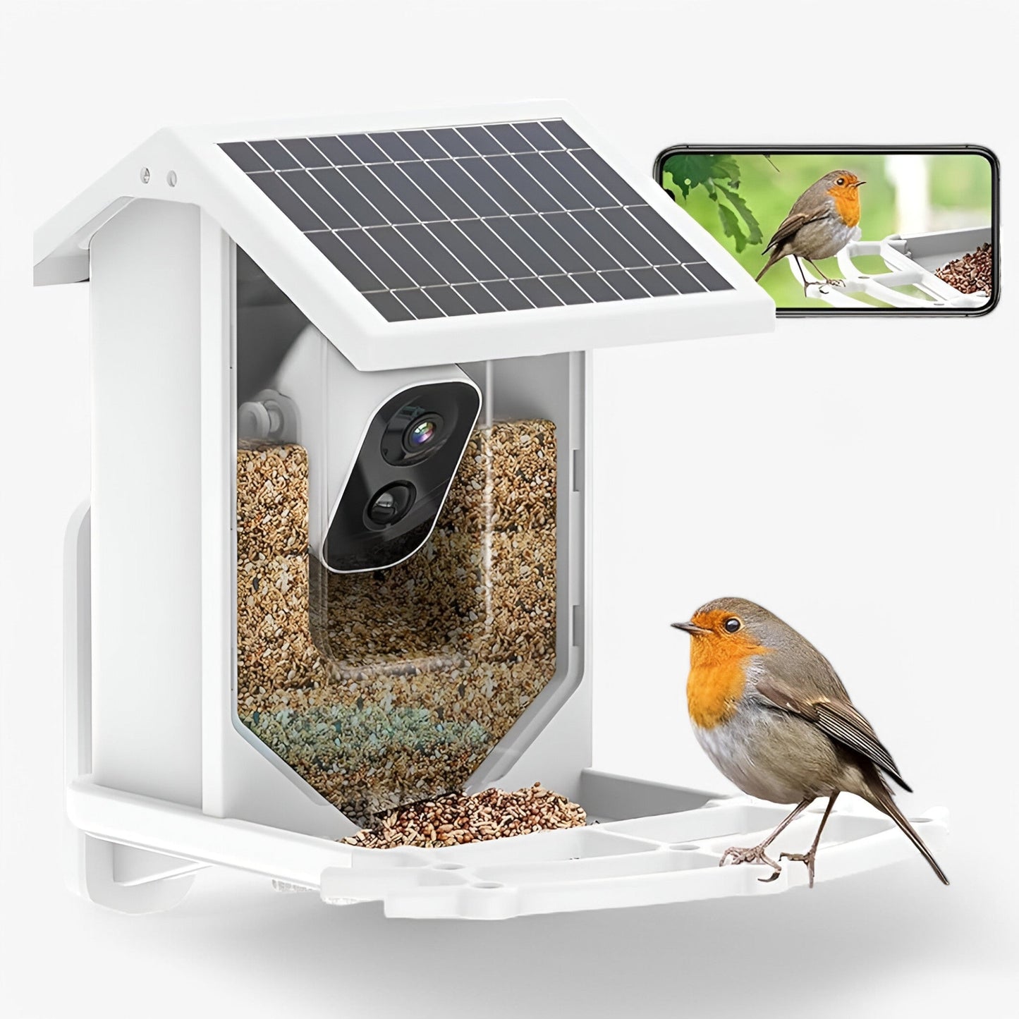 Wireless Bird Feeder with HD Camera and Solar Power