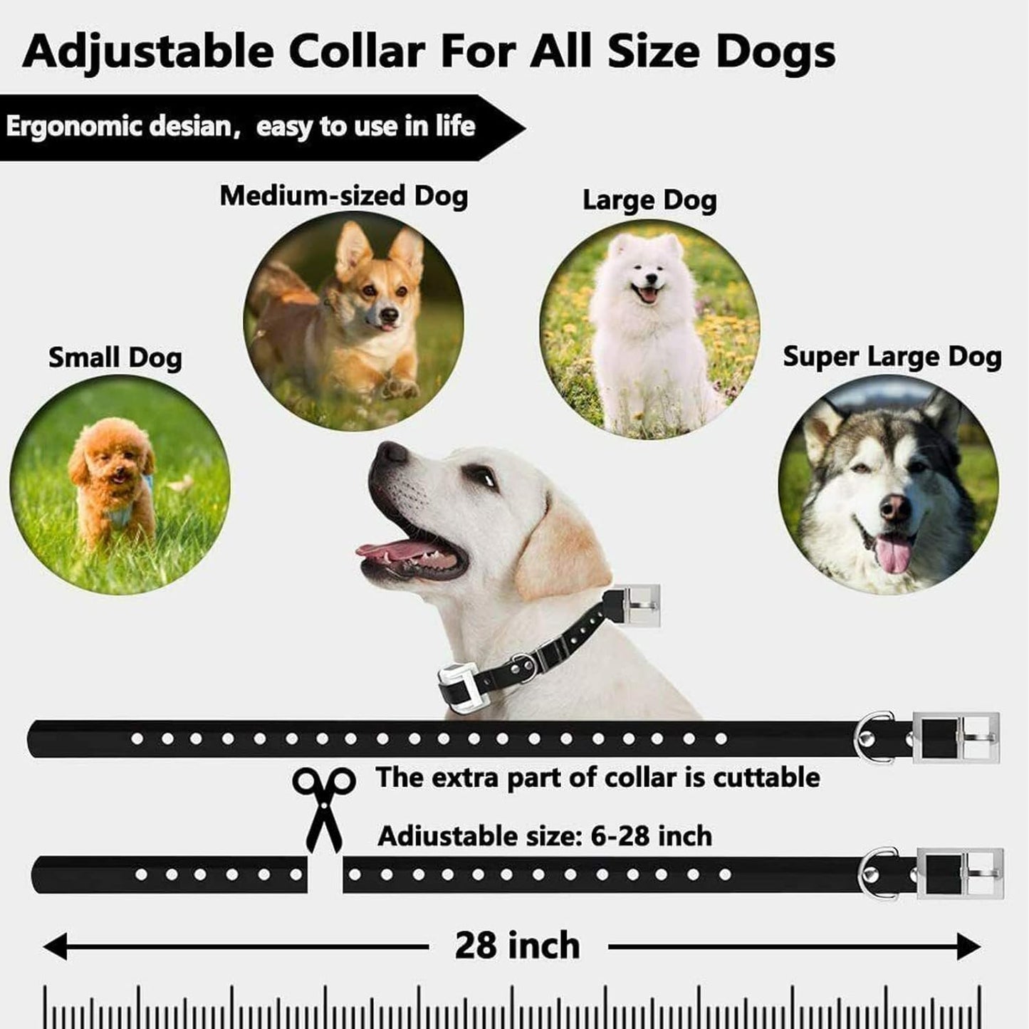 Easy Dog Training Collar System Waterproof Rechargeable