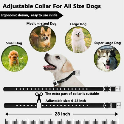 Easy Dog Training Collar System Waterproof Rechargeable
