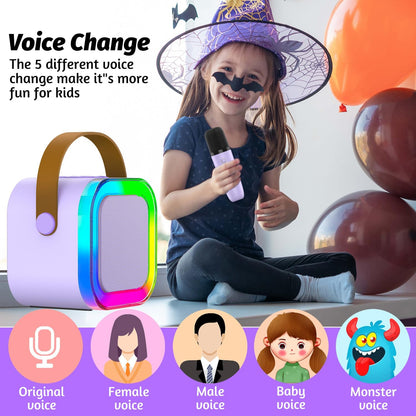 Portable Wireless Karaoke Speaker System