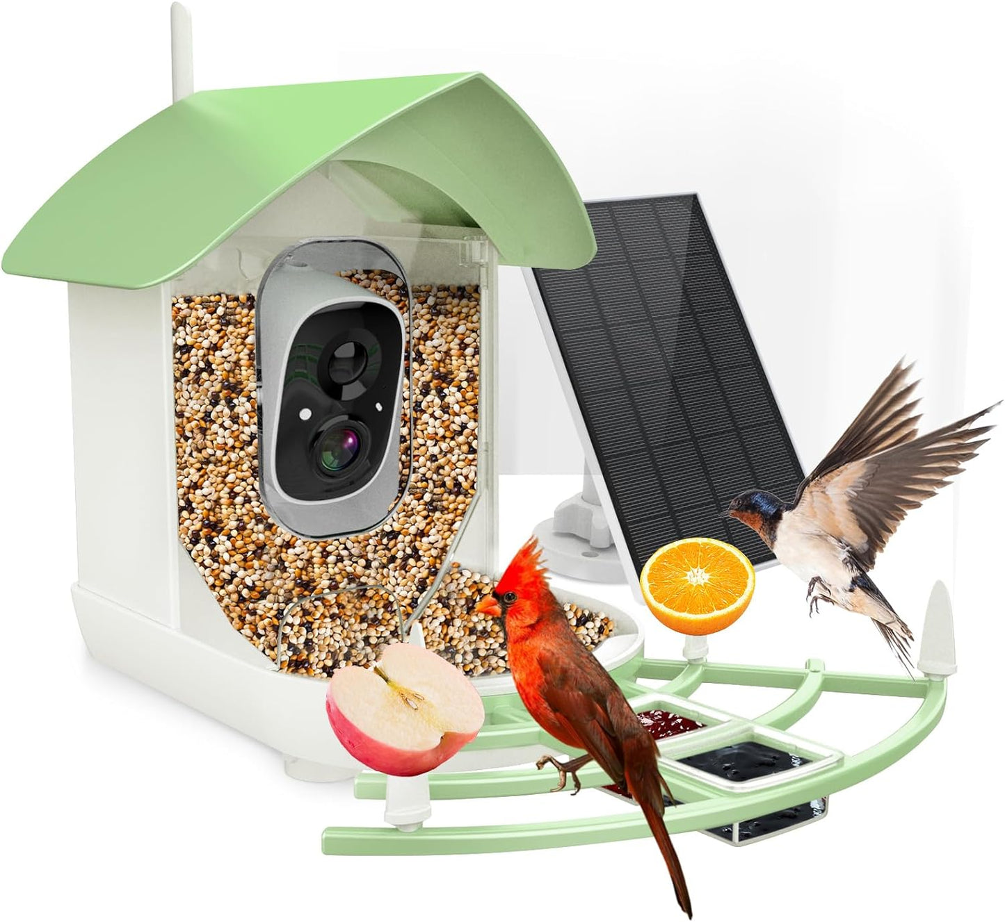 Intelligent Bird Feeder Cam with Night Vision & Motion Detection - Fesara
