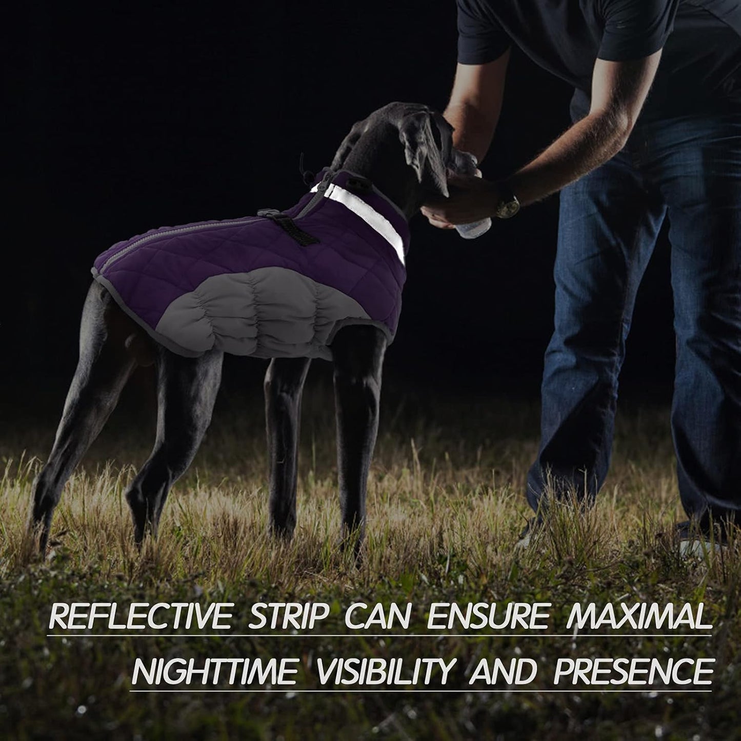 Waterproof Reflective Dog Coat with Fleece Lining