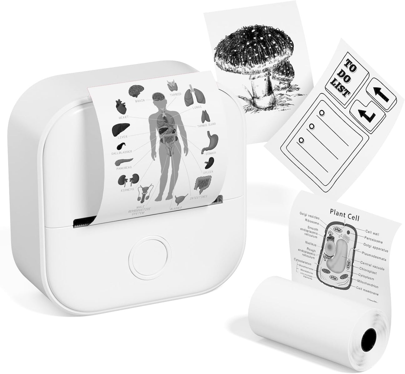 Portable Mini Mobile Printer with Free Paper Roll - Fesara