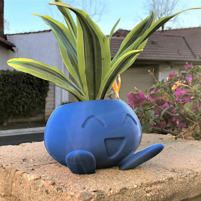 Colorful Indoor Plant Display Pot