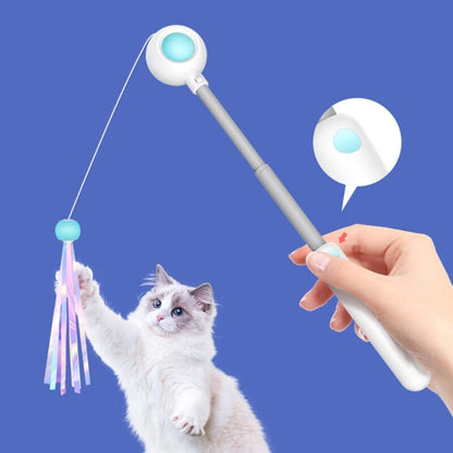 Fun Feather Cat Wand Toy