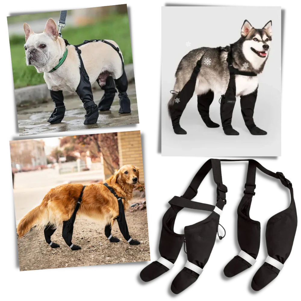 Waterproof Pet Suspension Boots - Fesara