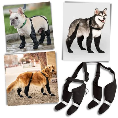 Waterproof Pet Suspension Boots - Fesara