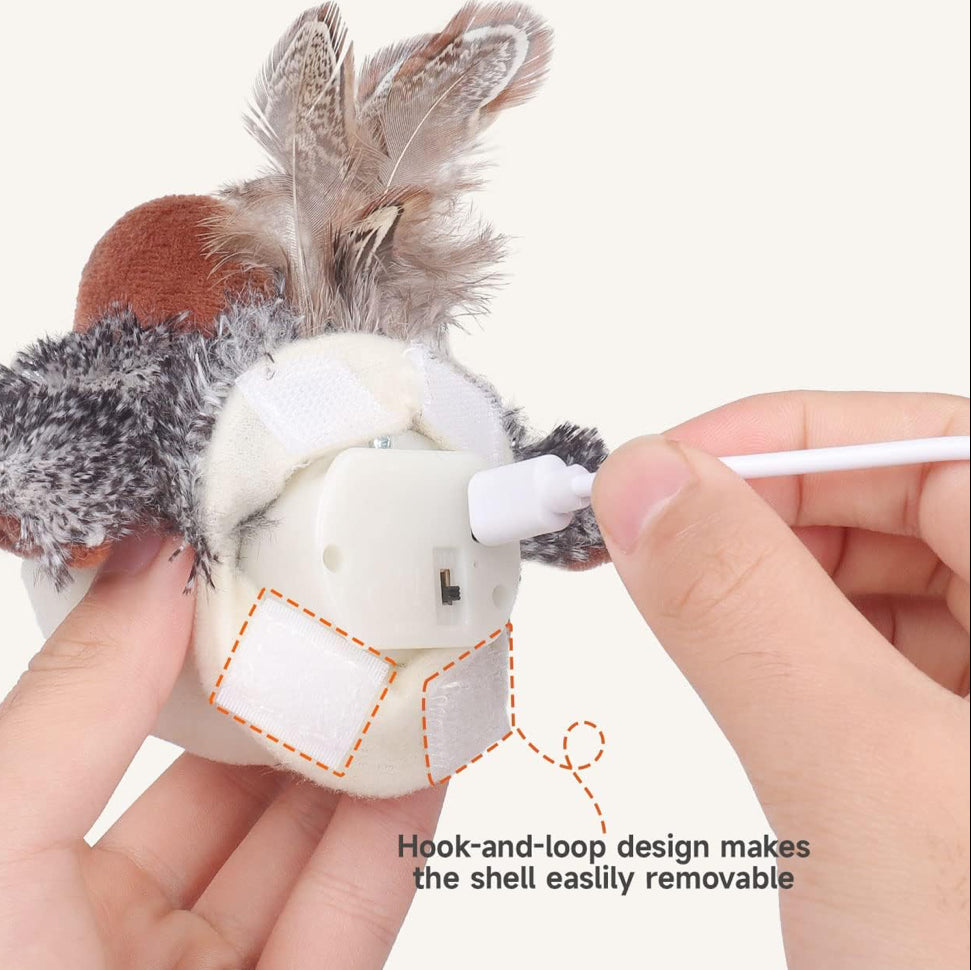 Fun Interactive Cat Toy