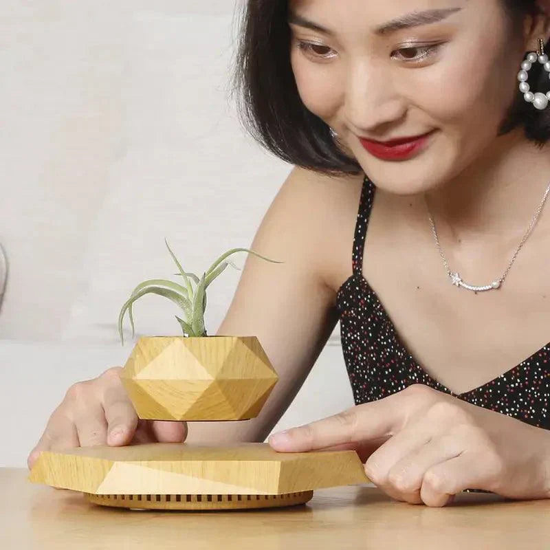 Floating Mini Bonsai Tree Planter