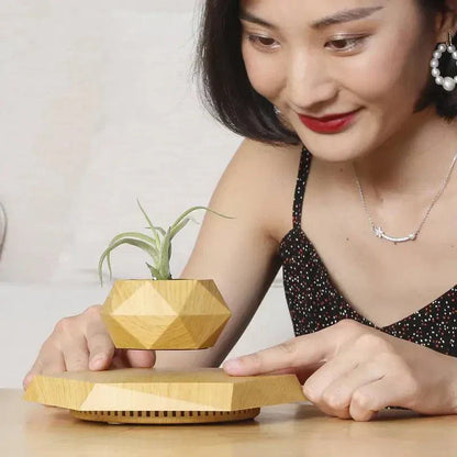 Floating Mini Bonsai Tree Planter
